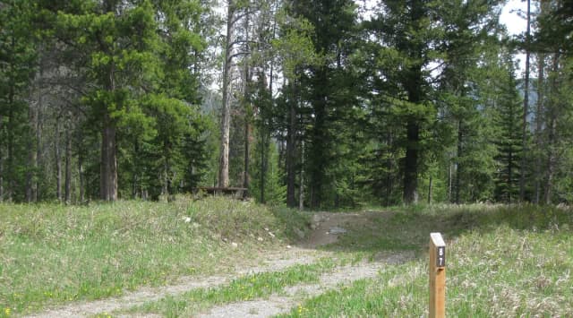 Site B7, campsite surrounded by pine trees, picnic table & fire ring