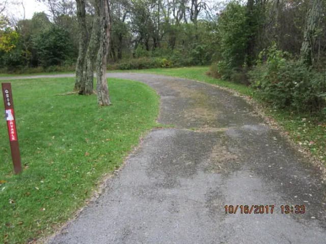 Site G206