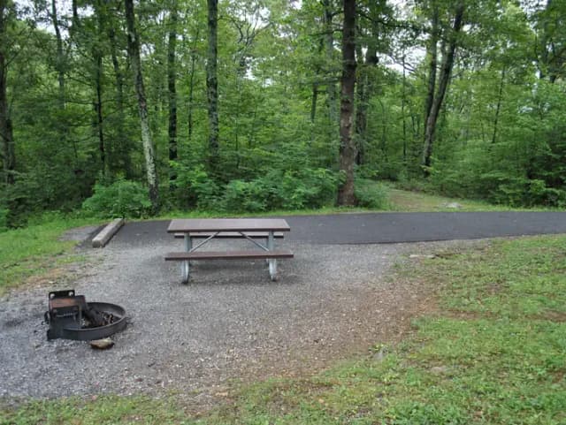 Mathews Arm Campground – Site A055