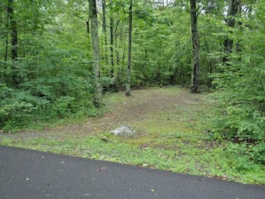 Mathews Arm Campground – Site A055 (Tent Area)