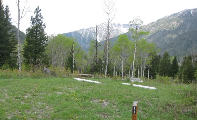 Site B9, campsite surrounded by pine trees, picnic table & fire ring