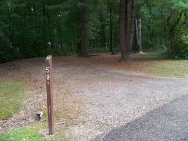 Oak 59