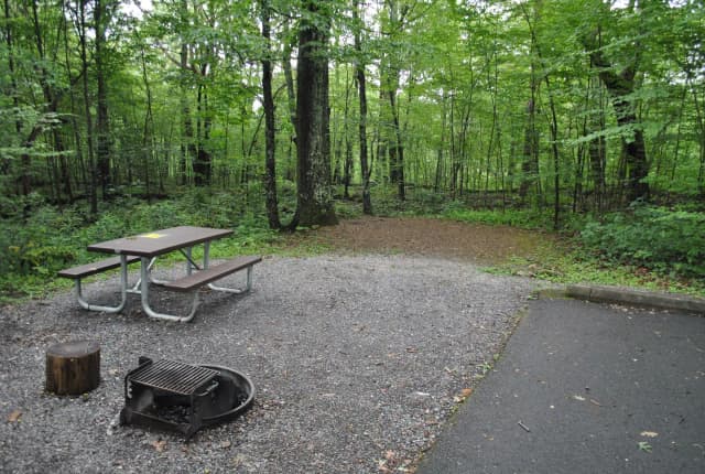 Mathews Arm Campground – Site A058