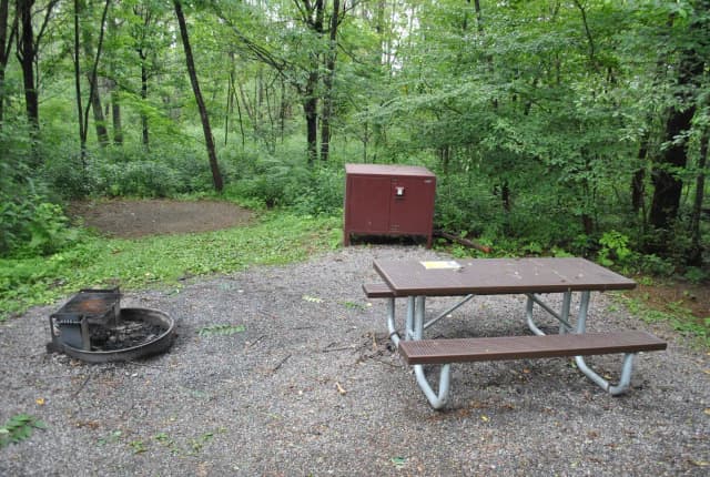 Mathews Arm Campground – Site A059