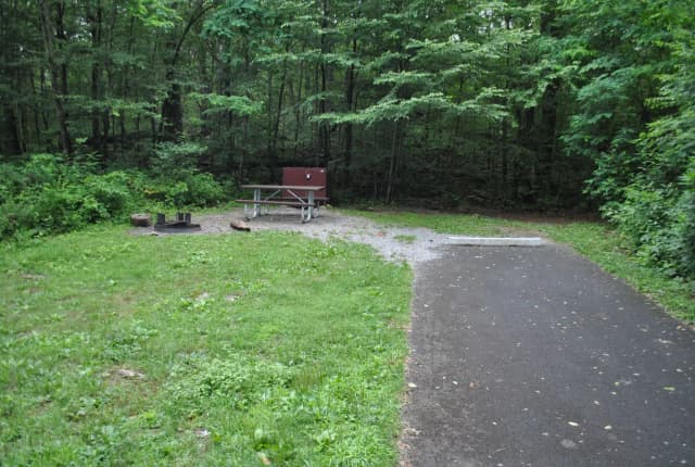 Mathews Arm Campground – Site A060