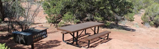 Brown metal picnic table and charcoal grill at Loop B Site 43, set on a level dirt pad surrounded by shrubs and trees.