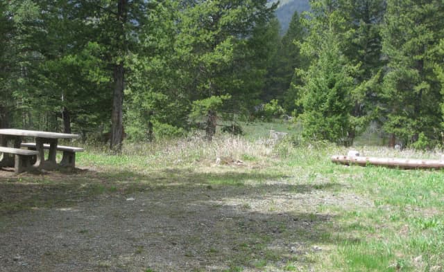 Site C13, campsite surrounded by pine trees, picnic table & fire ring