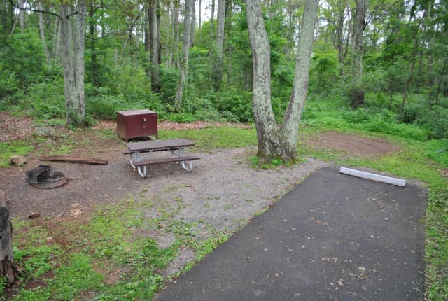 Mathews Arm Campground – Site A061