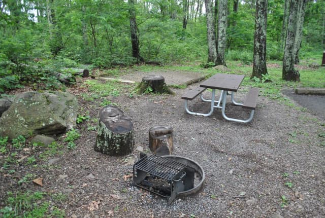 Mathews Arm Campground – Site A062