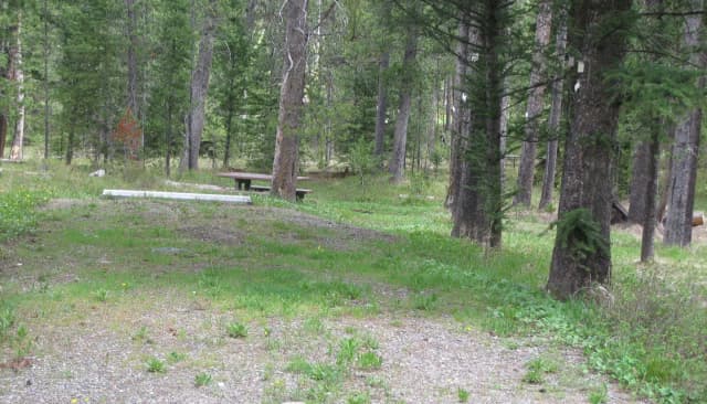 Site C16, campsite surrounded by pine trees, picnic table & fire ring