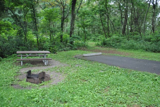 Mathews Arm Campground – Site A063