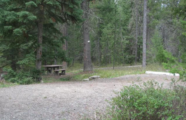 Site C17, campsite surrounded by pine trees, picnic table & fire ring