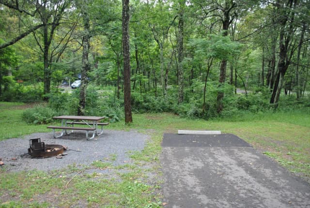 Mathews Arm Campground – Site A064