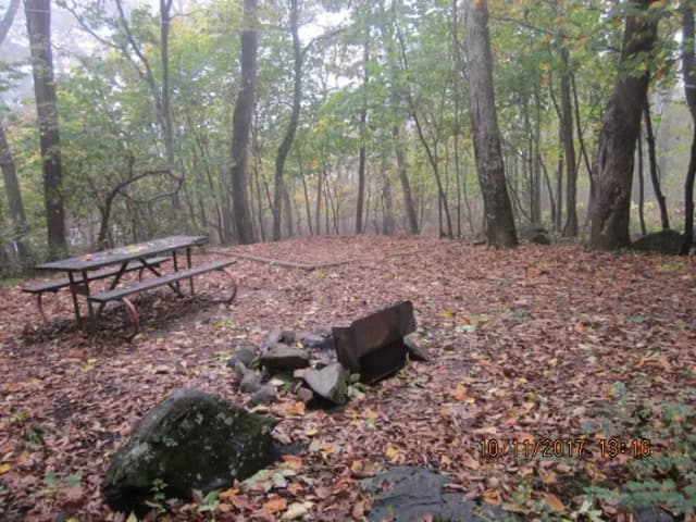 Loft Mountain Campground - Site 14