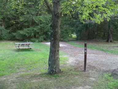 Loop OAK · Site O68 at Mill Creek Camping (Berlin Lake)