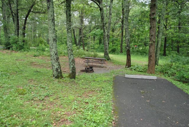 Mathews Arm Campground – Site A065