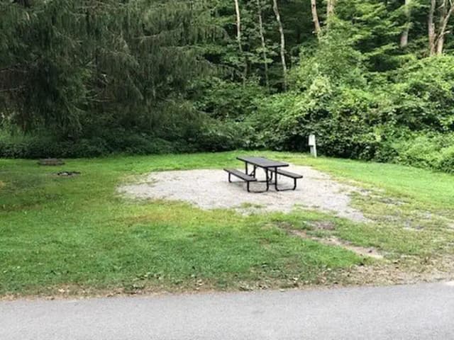 Loop 3 · Site 125 at Tionesta Rec. Area Campground