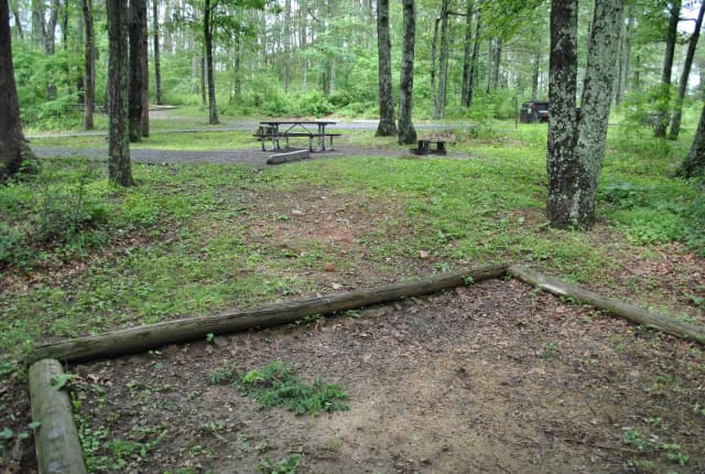Mathews Arm Campground – Site A067
