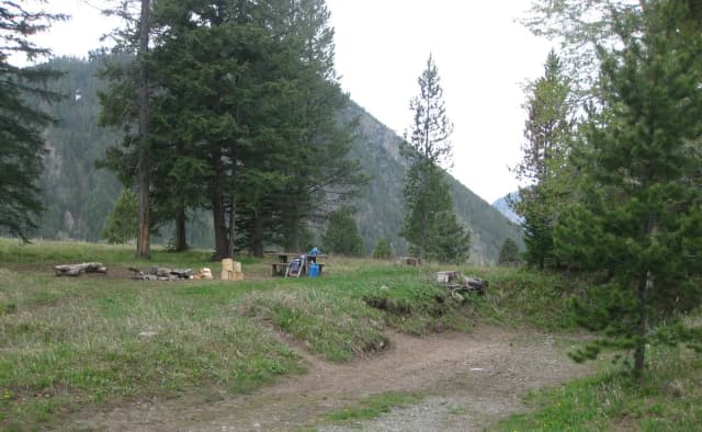 Site C20, campsite surrounded by pine trees, picnic table & fire ring