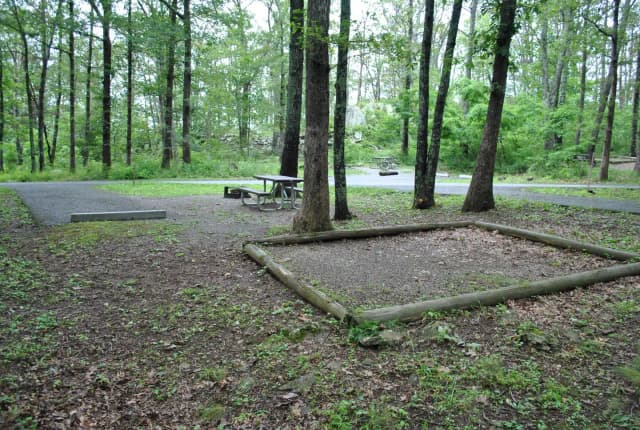 Mathews Arm Campground – Site A069