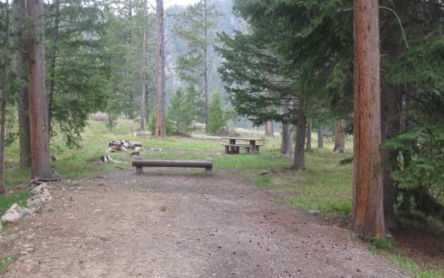 Site C21, campsite surrounded by pine trees, picnic table & fire ring