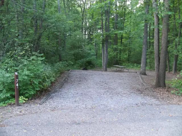 Oak 74