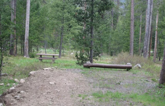 Site C22, campsite surrounded by pine trees, picnic table & fire ring