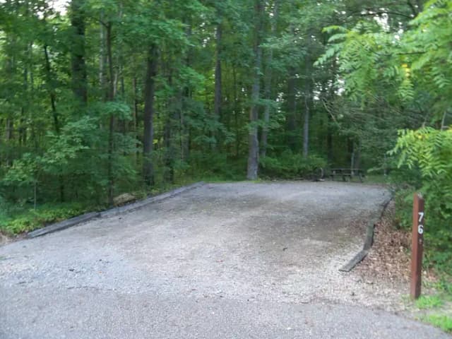 Oak 76