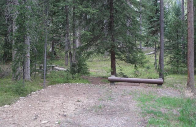 Site C23, campsite surrounded by pine trees, picnic table & fire ring