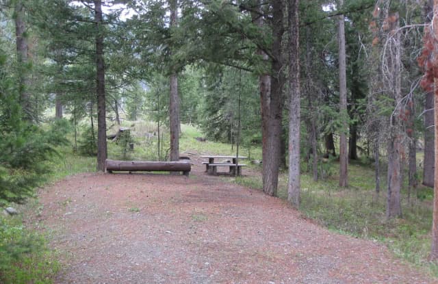 Site C4, campsite surrounded by pine trees, picnic table & fire ring