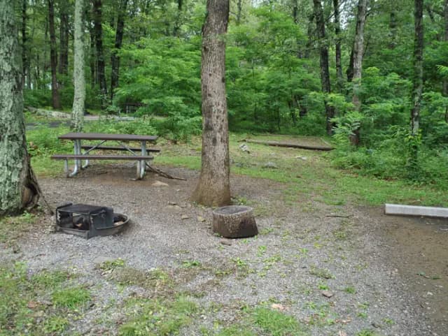 Mathews Arm Campground – Site A071