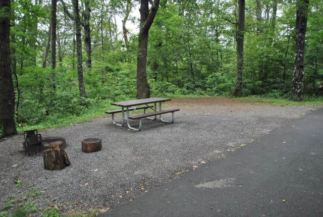 Mathews Arm Campground – Site A072