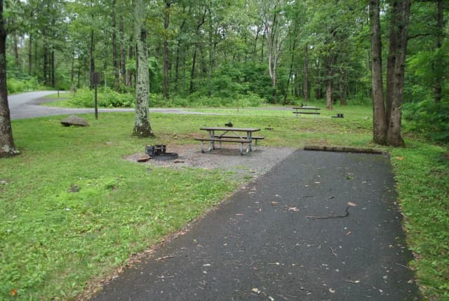 Mathews Arm Campground – Site A073