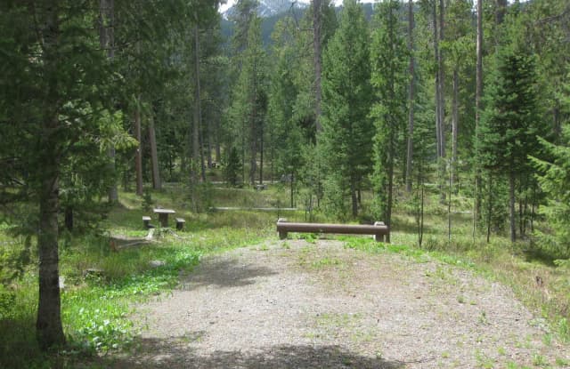 Site C7, campsite surrounded by pine trees, picnic table & fire ring