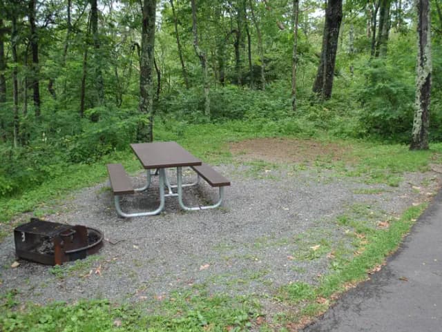 Mathews Arm Campground – Site A074