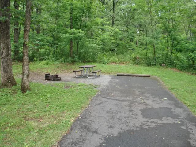 Mathews Arm Campground – Site A075