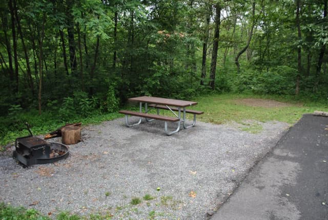 Mathews Arm Campground – Site A076