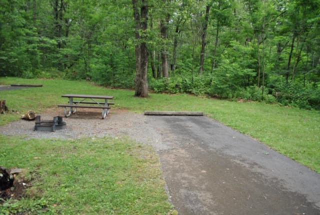 Mathews Arm Campground – Site A077