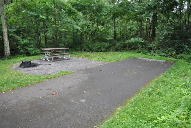 Mathews Arm Campground – Site A078