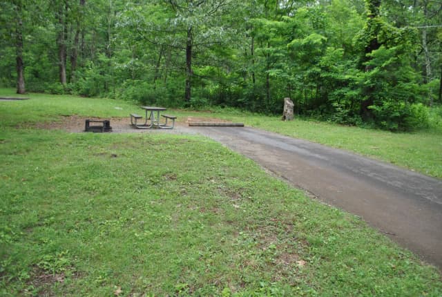 Mathews Arm Campground – Site A079