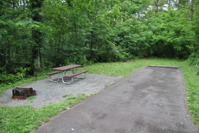Mathews Arm Campground – Site A080