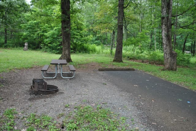 Mathews Arm Campground – Site A081
