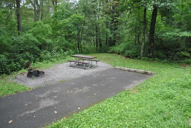 Mathews Arm Campground – Site A082