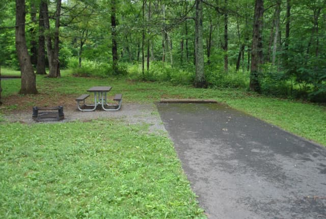 Mathews Arm Campground – Site A083