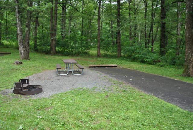 Mathews Arm Campground – Site A084