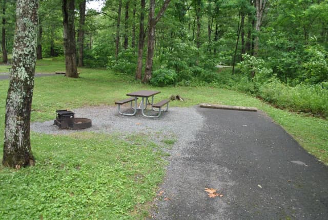 Mathews Arm Campground – Site A085