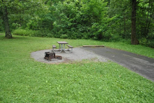 Mathews Arm Campground – Site A086