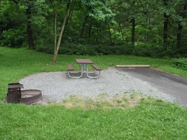 Mathews Arm Campground – Site A087