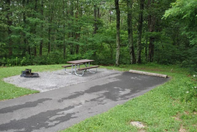 Mathews Arm Campground – Site A088