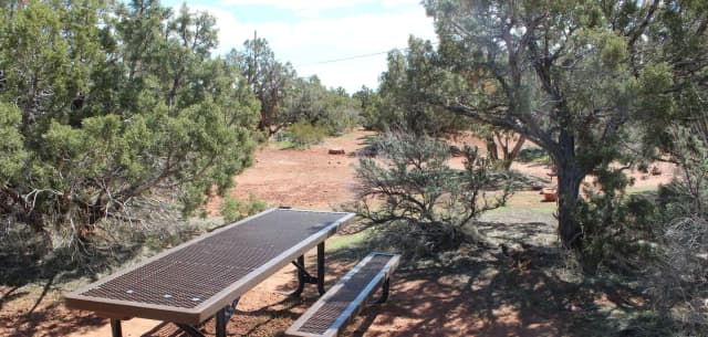 Picnic table at Loop B, Site 21 surrounded by juniper trees and desert vegetation.